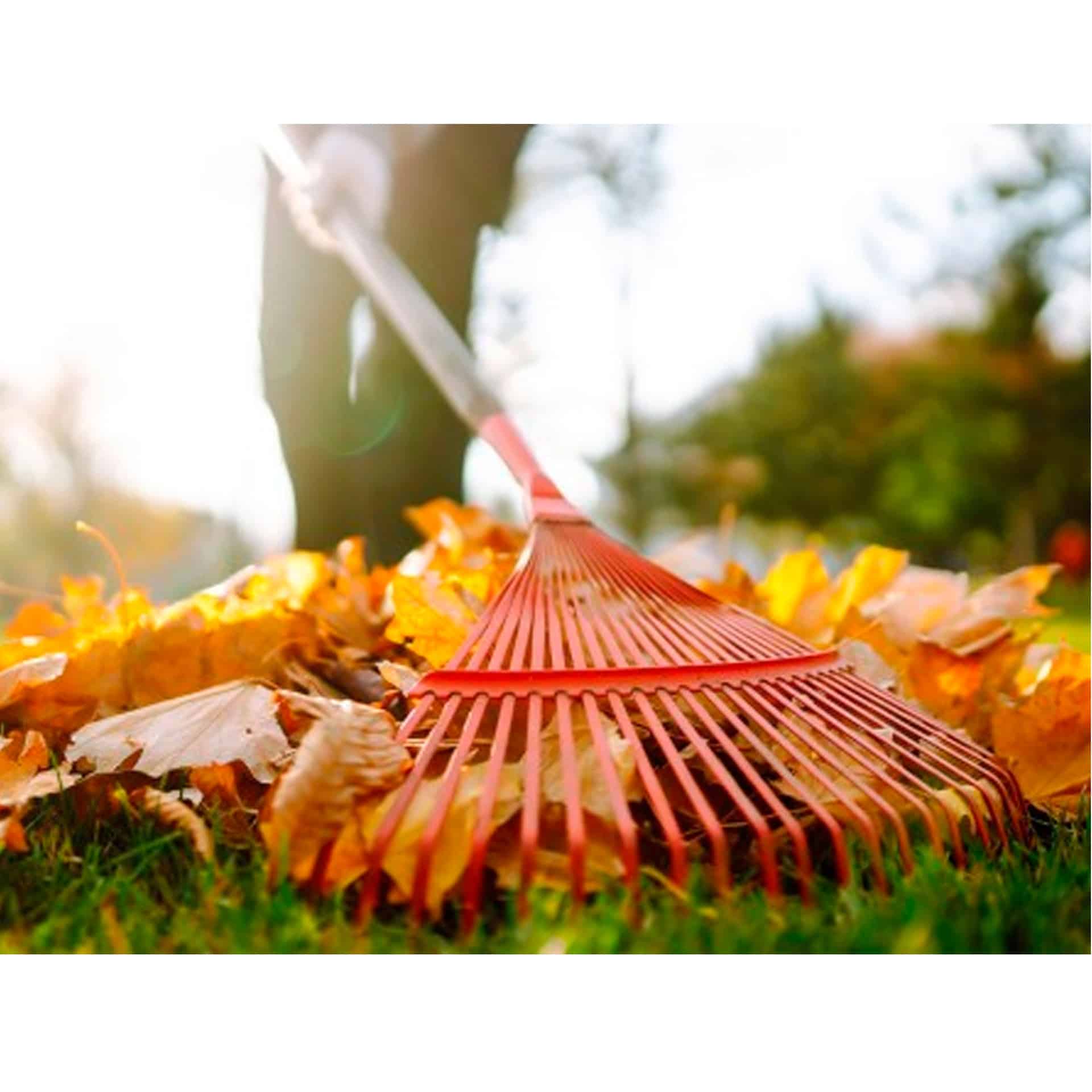 52612261fdb748811b3124e418fa60c2