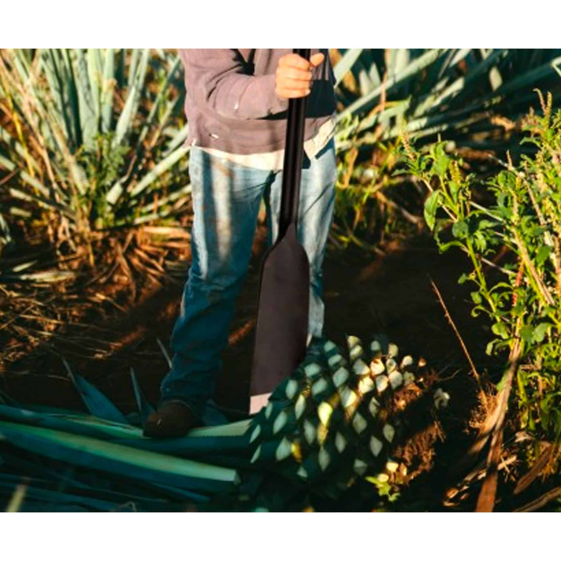 acab233a0903f6683f736064e477014b