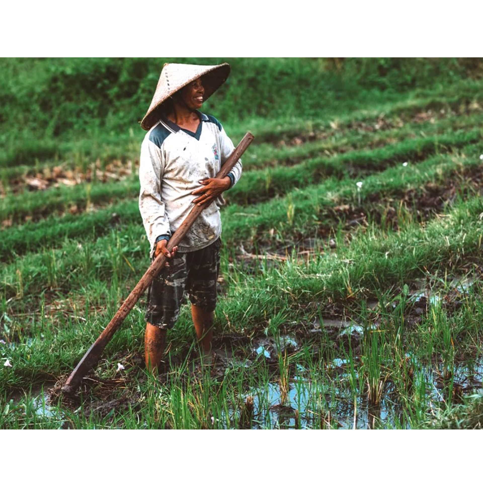 40a372628081d74d06b714b3cf9393ae