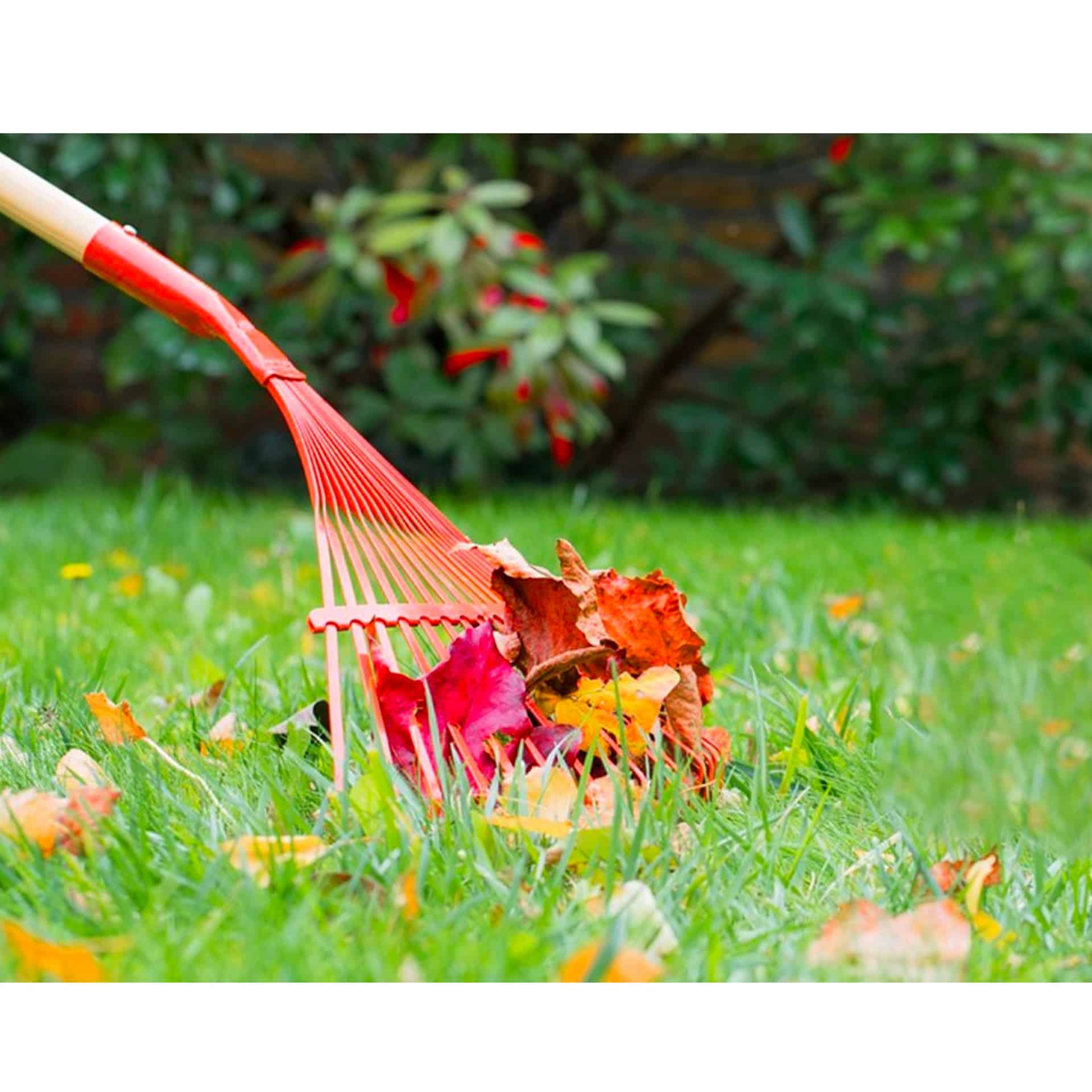 6c961d1dbe851084e0d2162c12b0c5be