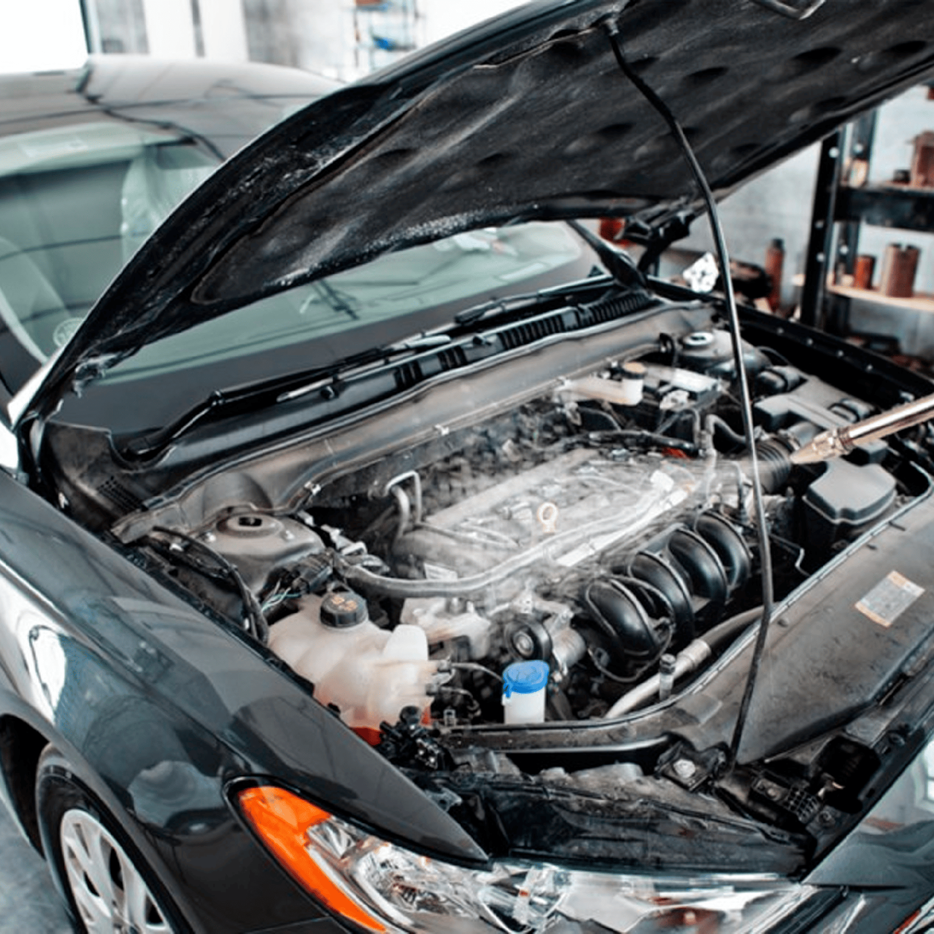 0086f3c03f8375dd44c583b9b6e9f58c