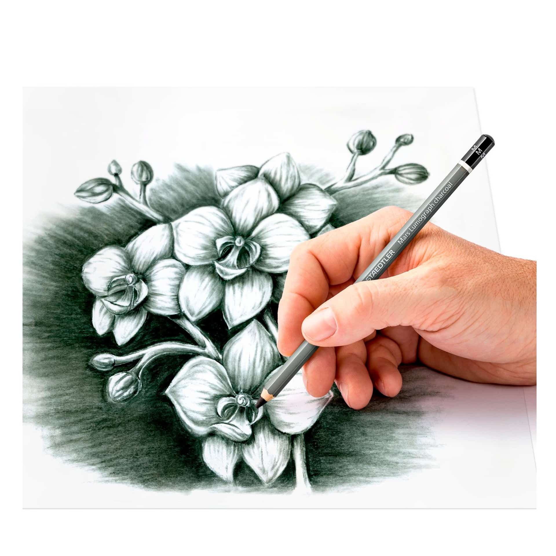 3ff41f8b8b342b54ad407fd584a50a34