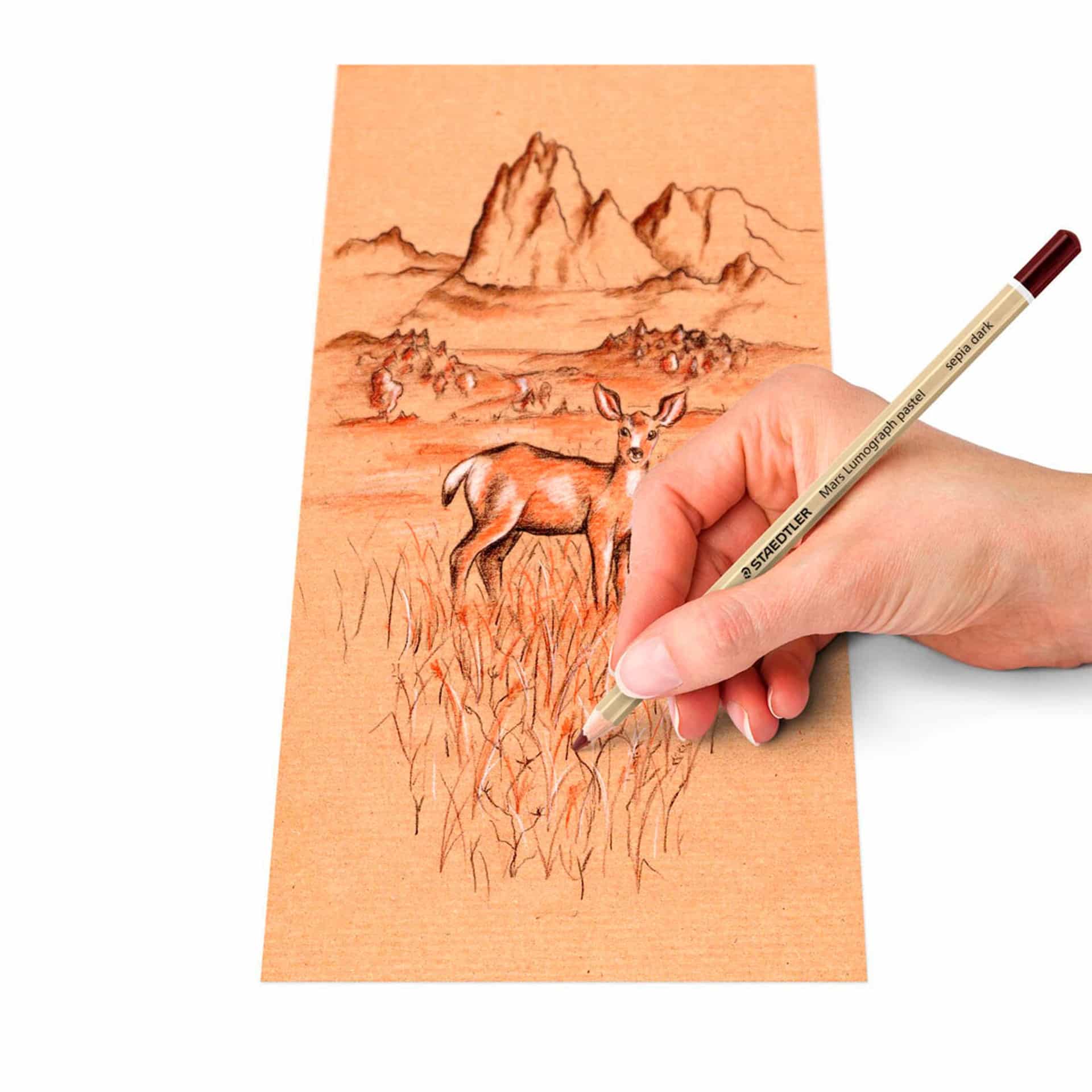 faa0746badd65c468c36f0bb82025ca2