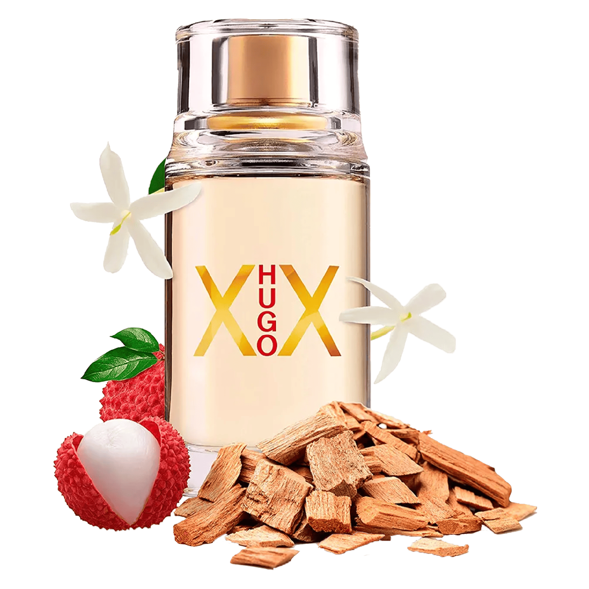 6e9ca7e8ab55386958c86242ddaf1797