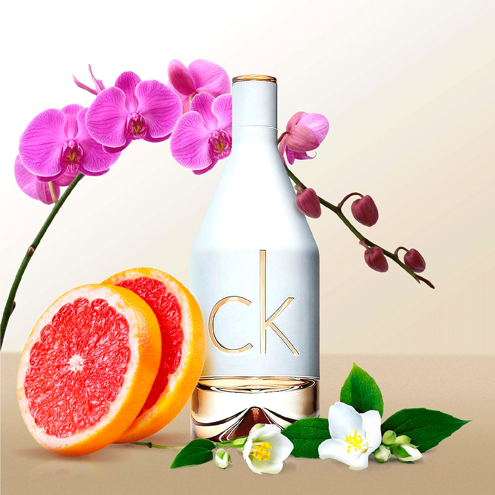 477f3912136dc70463439e3e8e337ff4