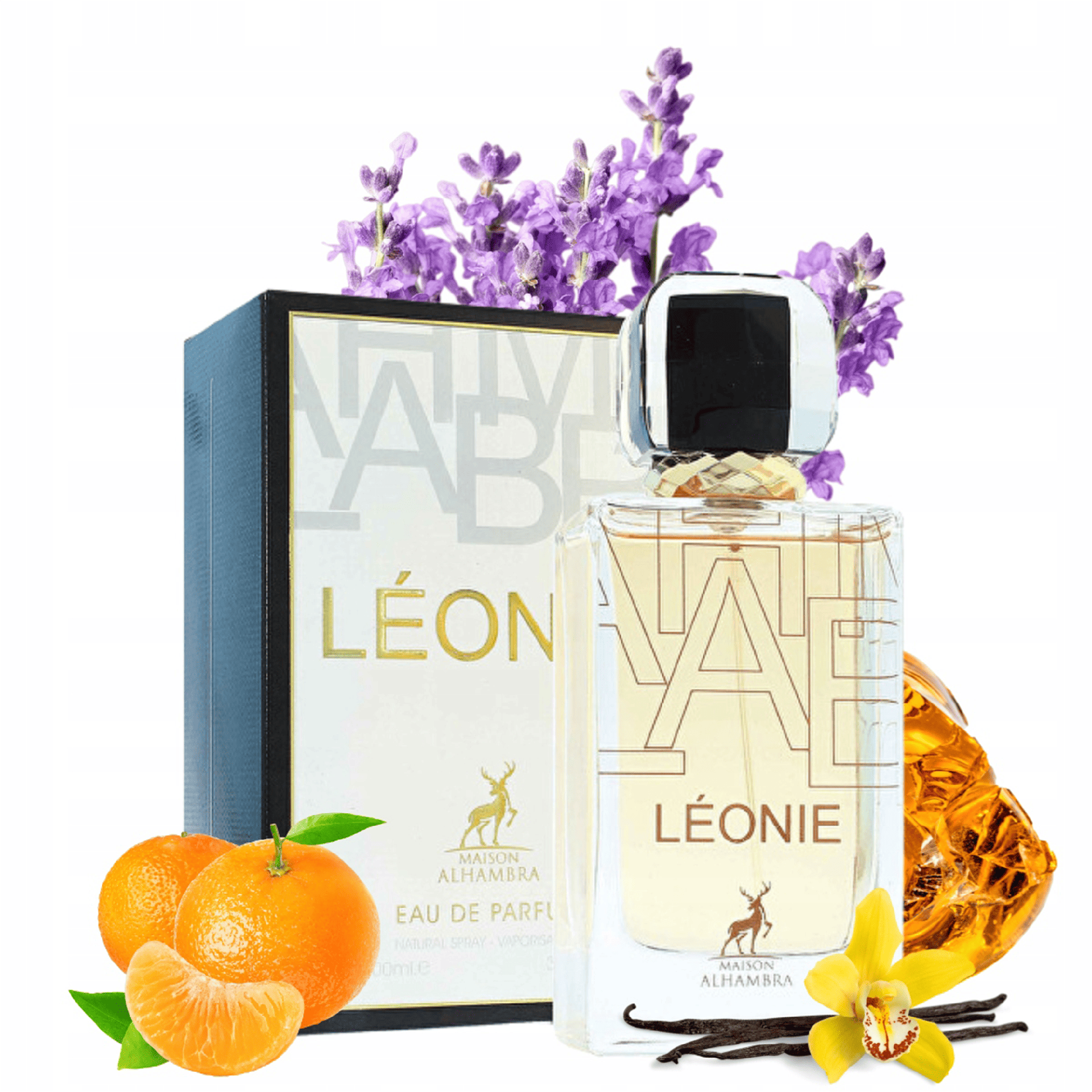 d75b1a396a1751f1f22166f5f2885548