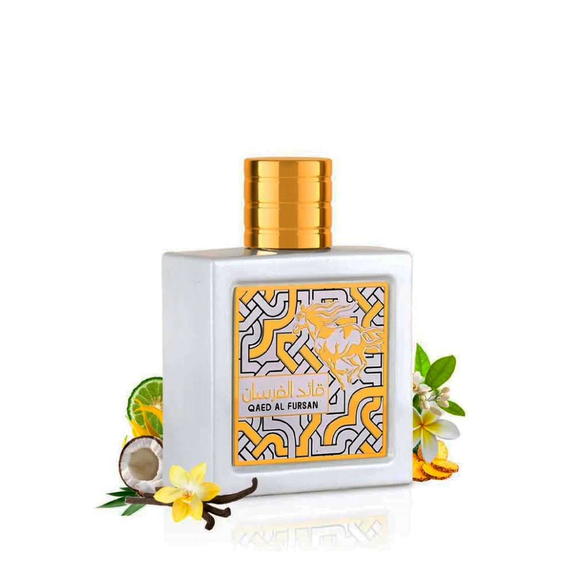 4105c9bba0e52cda4dc11b5334ff3b3f