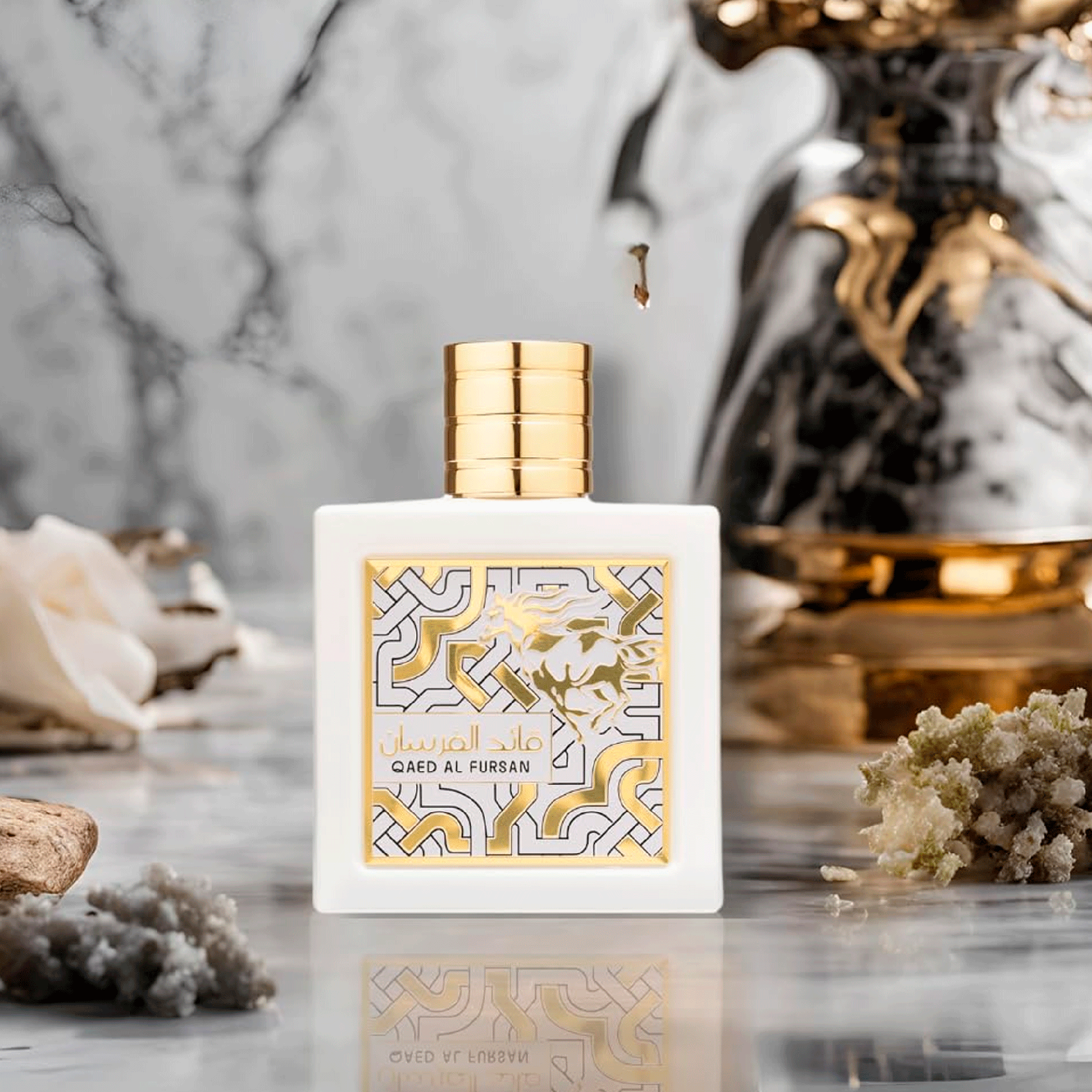 52313d28ca23266c73cf1cedfacabd6e