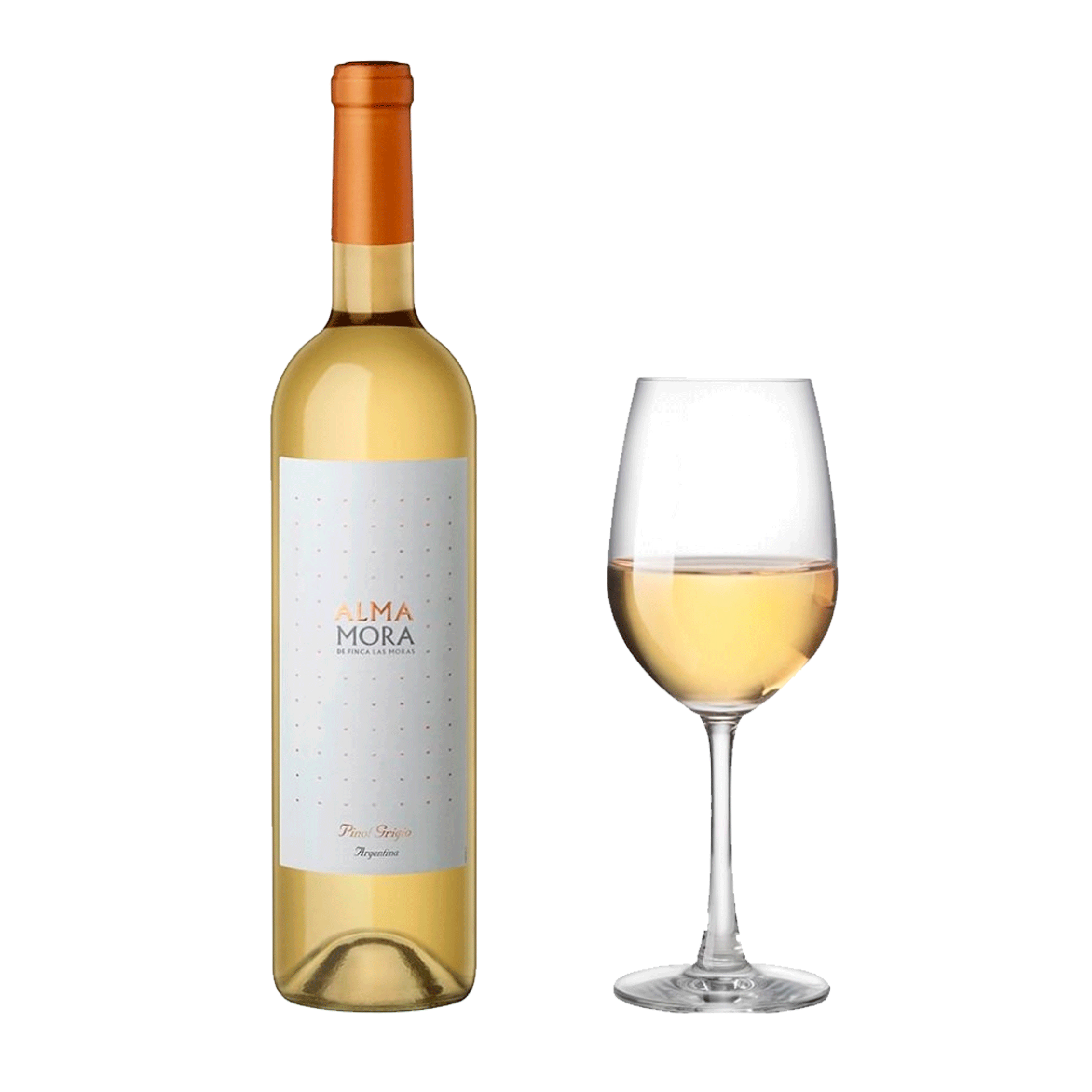 6f3a1ff51982ce595cf02322e82c1263