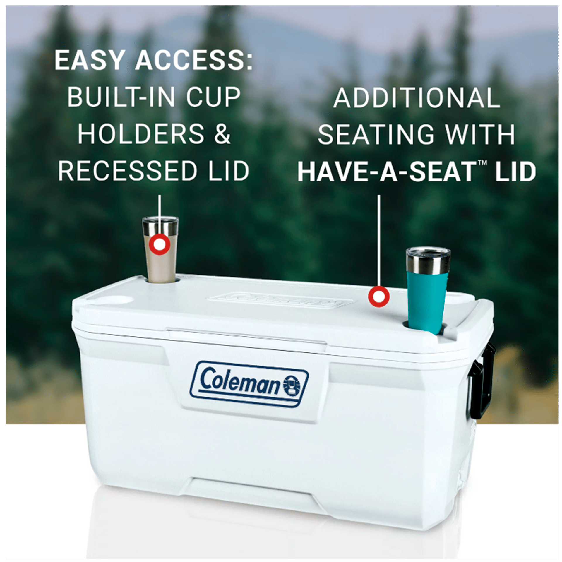 49340a865508fc3c42c3152b55a5d98d