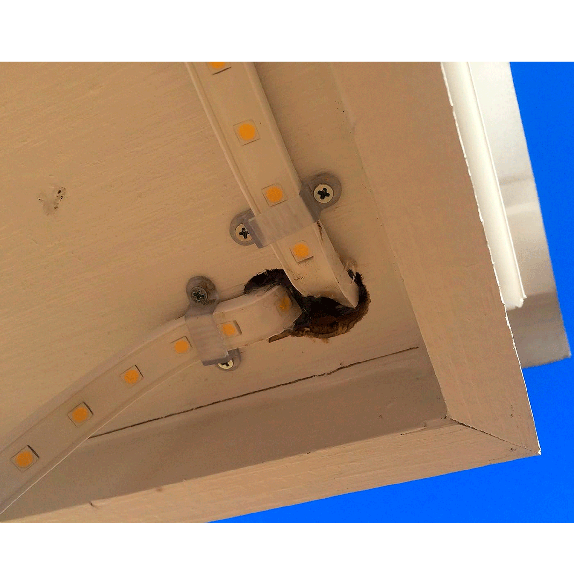 7bf83d7b77c88f6ef5e86ed6a147f0f4