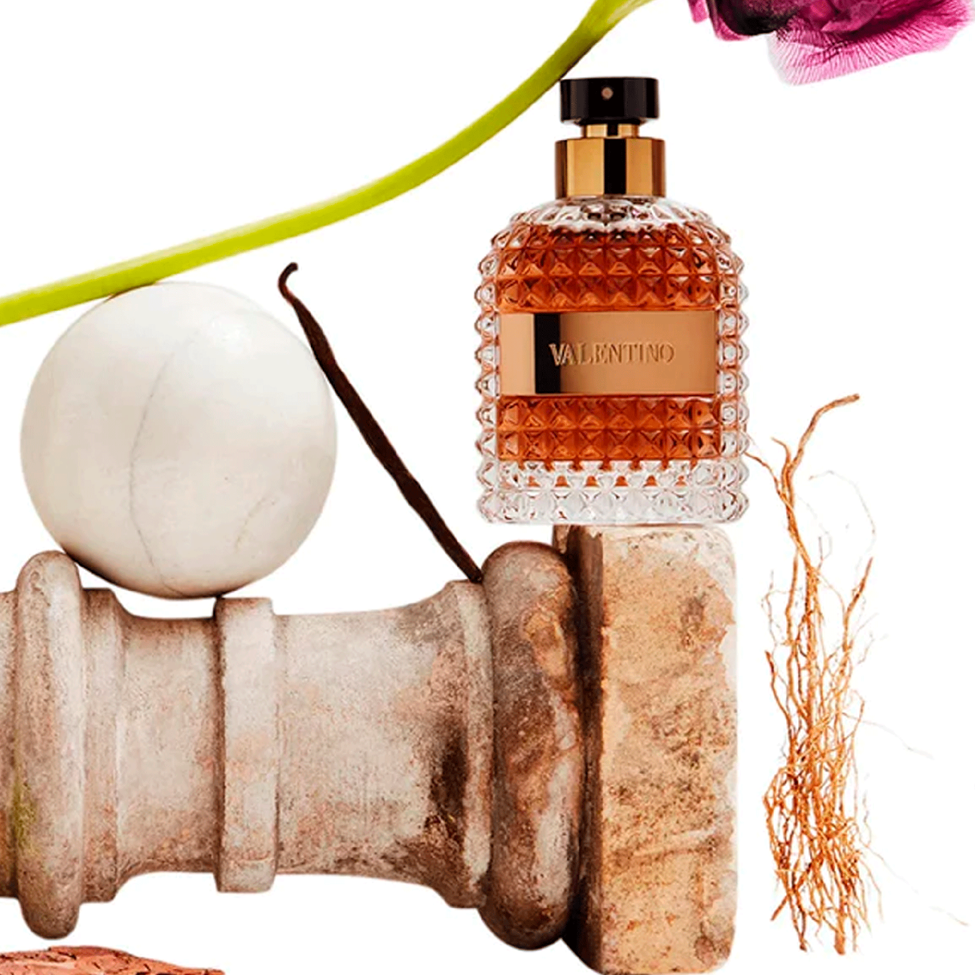 3c793aa10426b21978820ef158383f6d