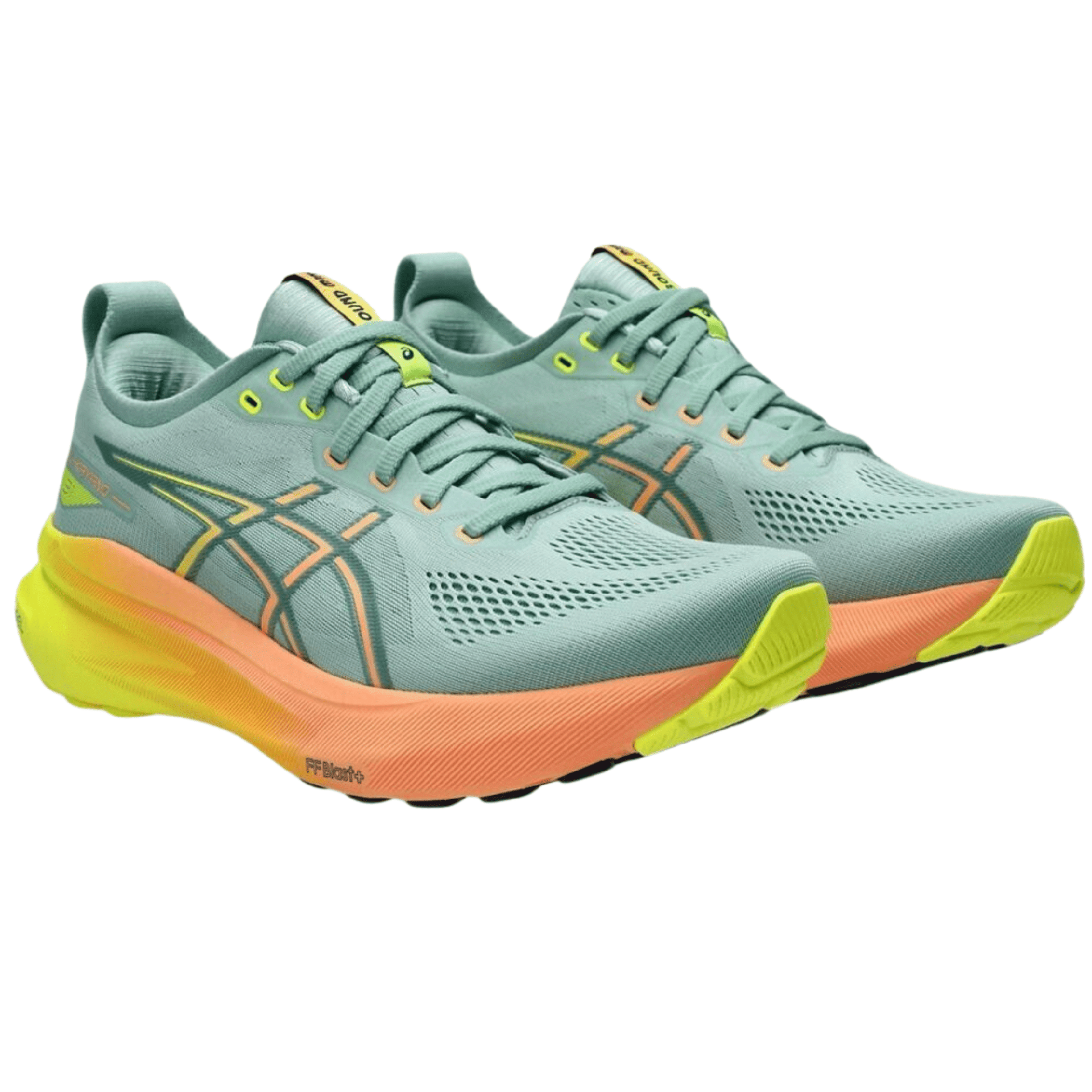 afe1f1f9f3fecdcf230cd5004f16dad3