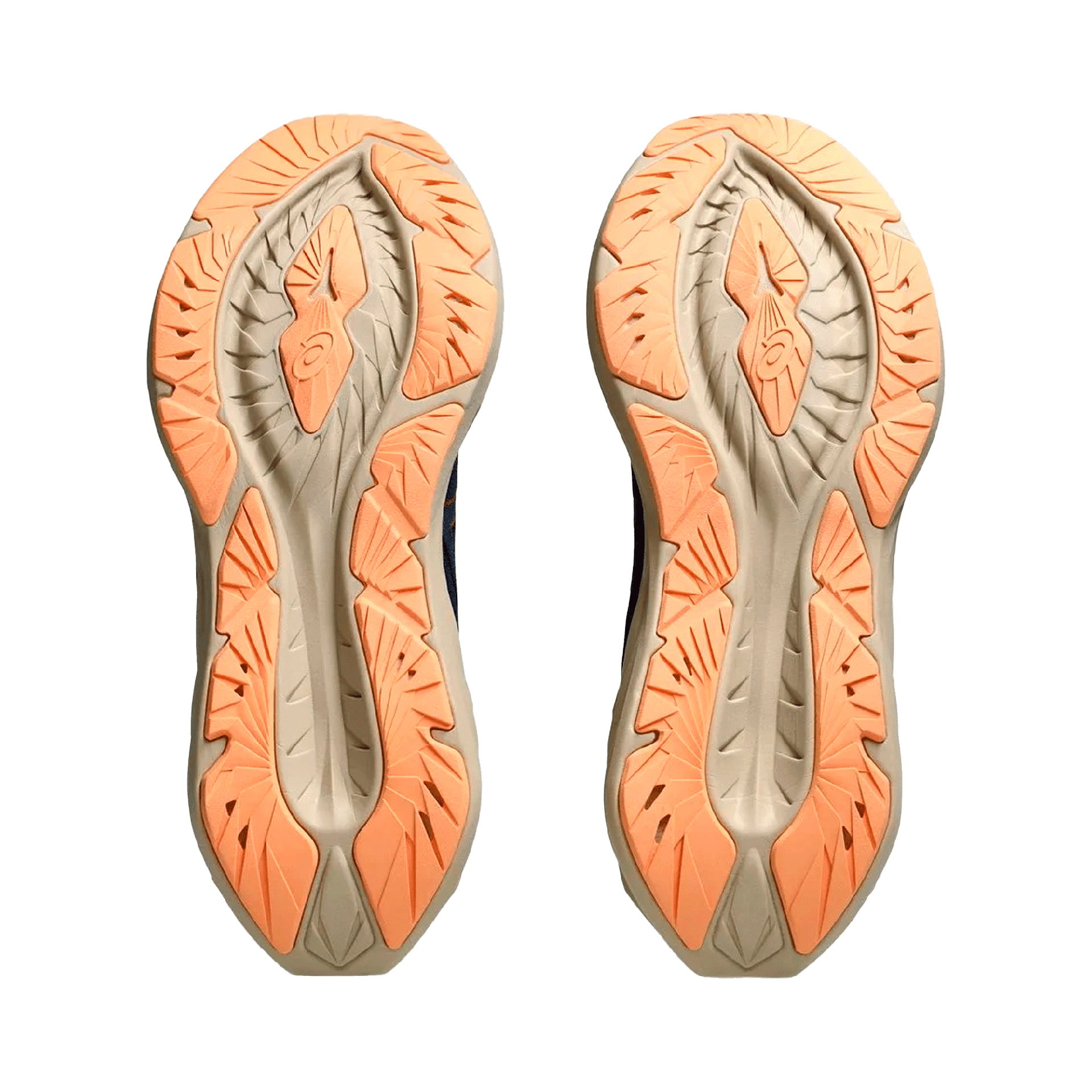 d203ea9b9540b112d3eed80e0cccb18a