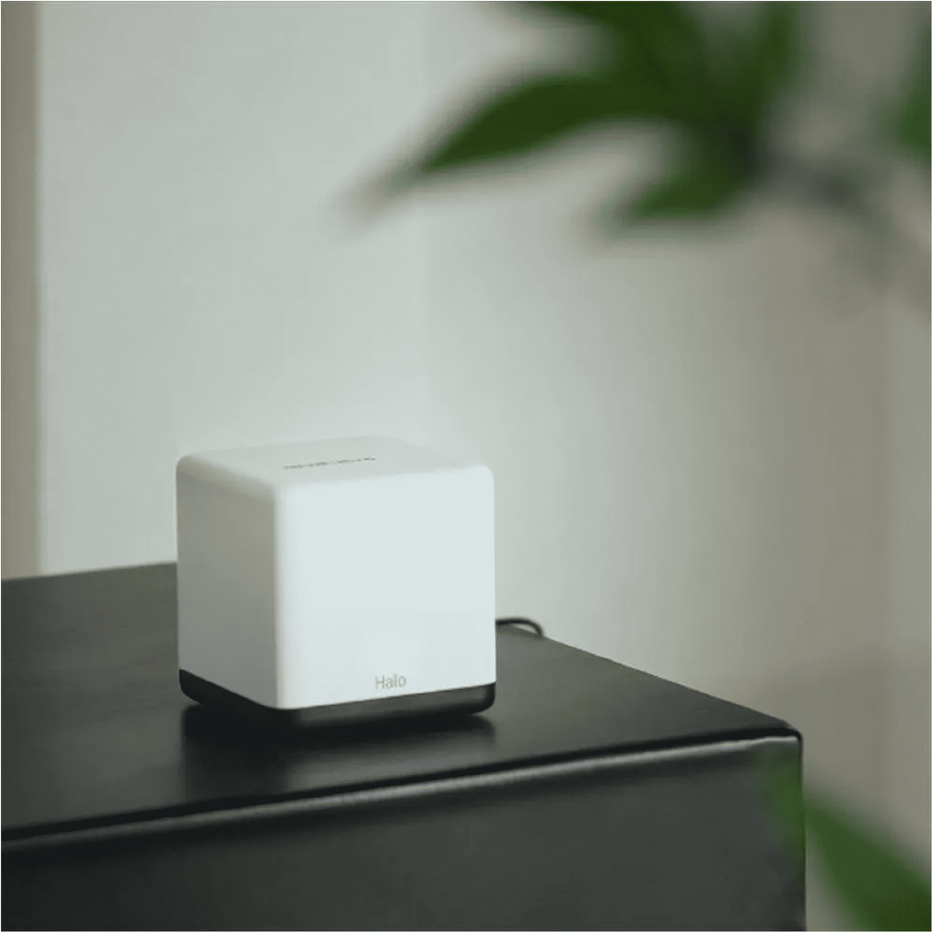 9b5253ccf31a526e04151689acd92ecd