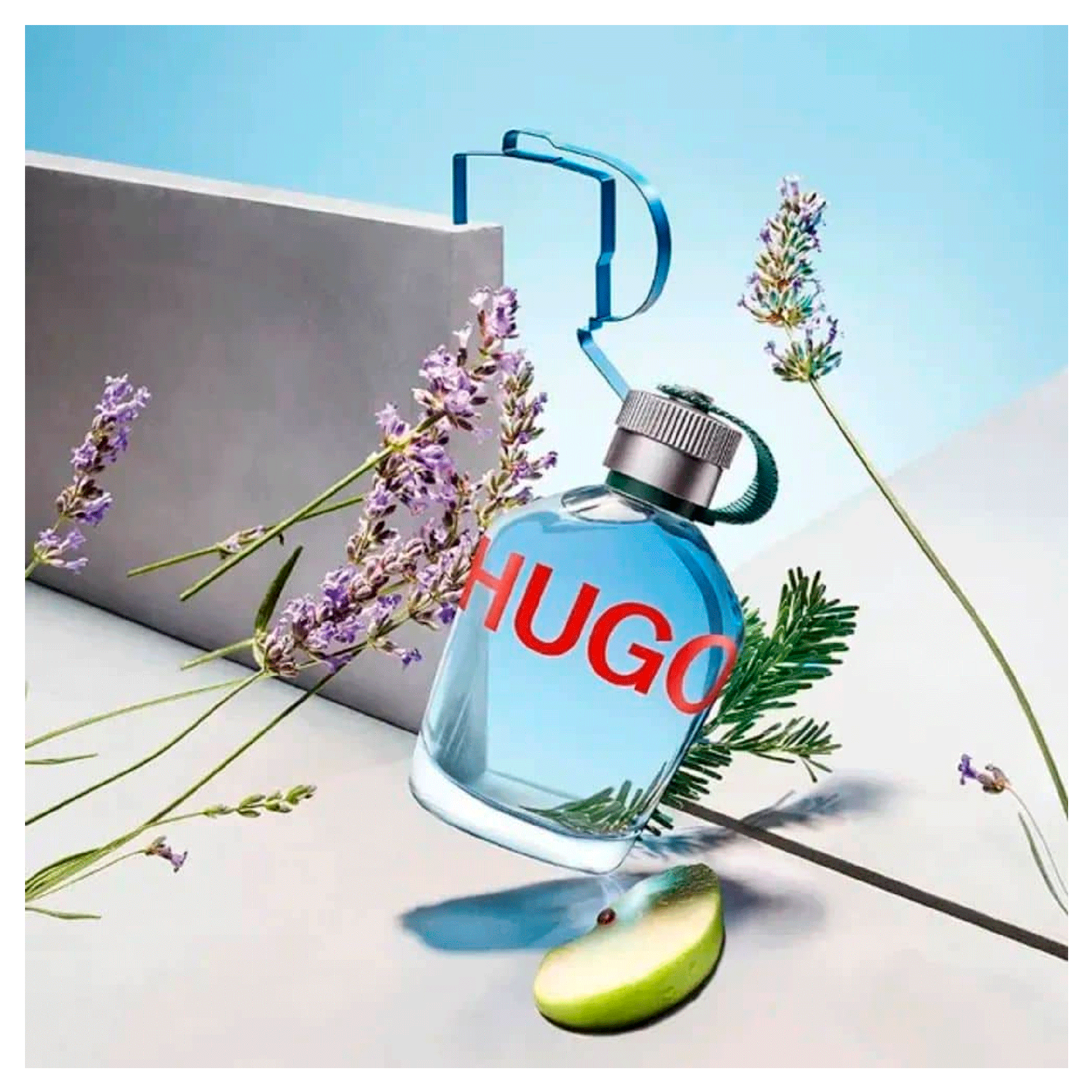 e5bce1901be07852984c6e4ee5380892