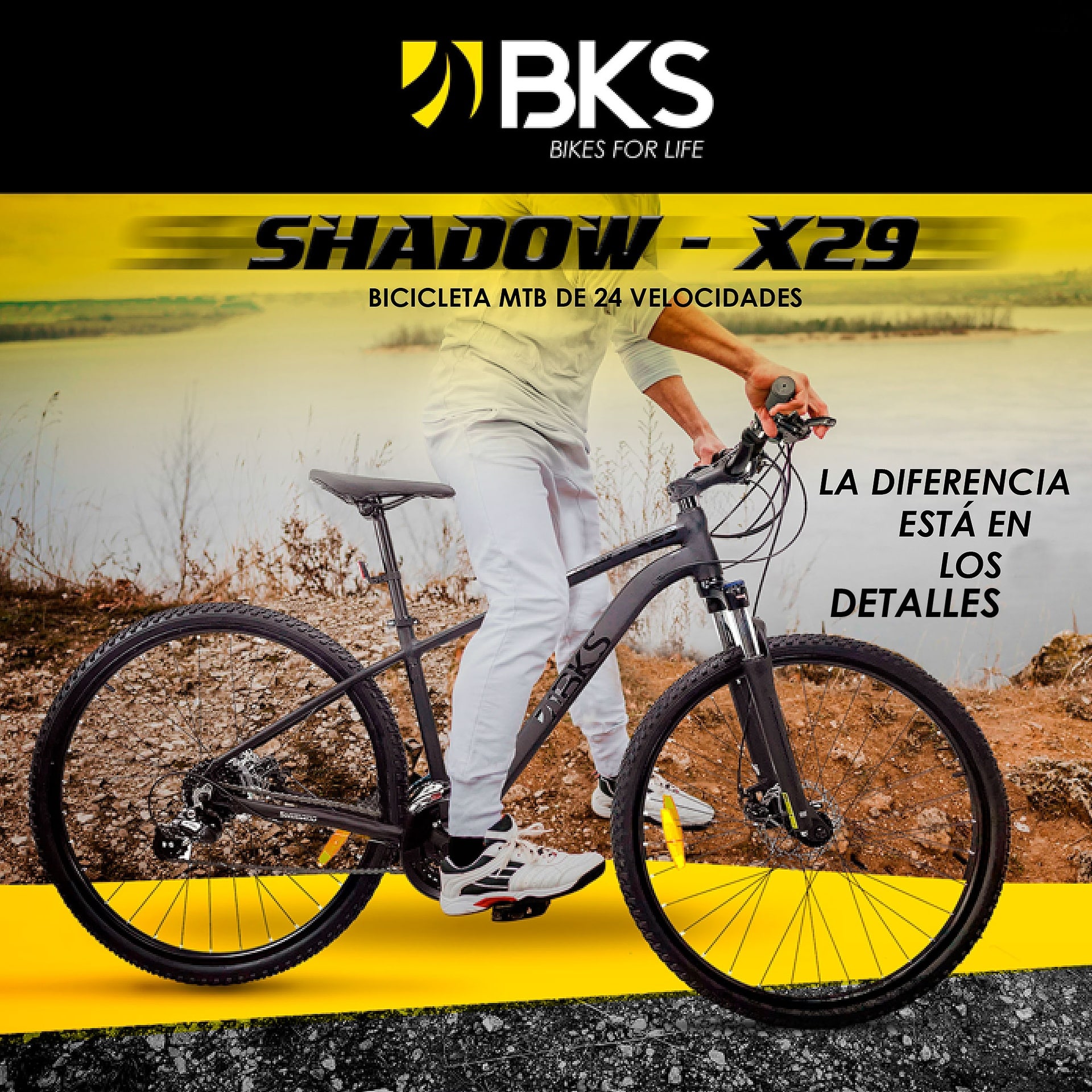 401f531fd61736f84243891125a448a9