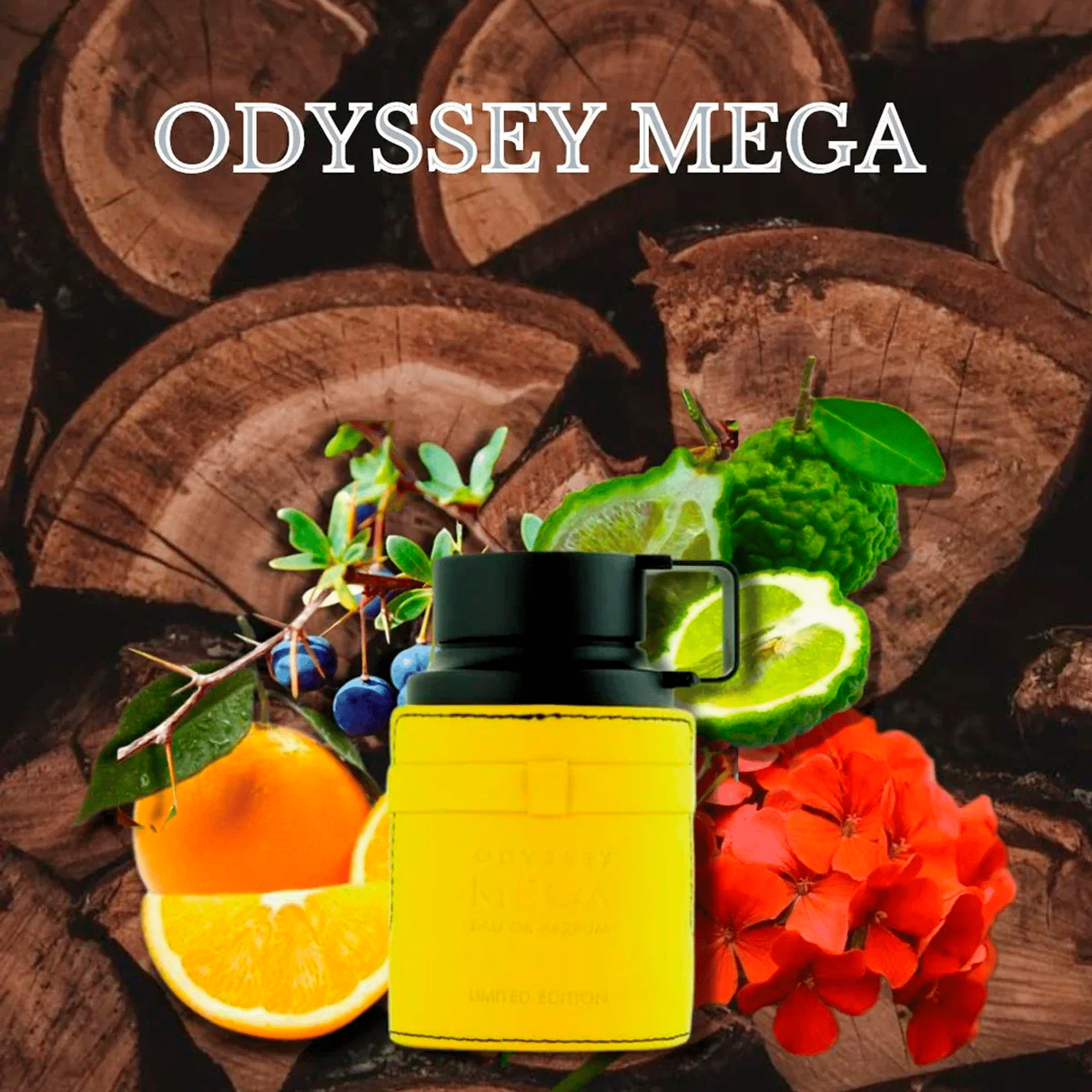 ea1ec9d6d5ce7260de5cdd83c5e80de7