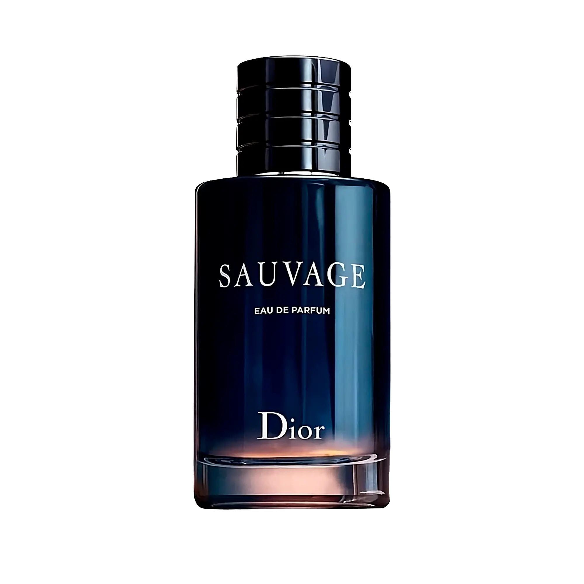 Perfume Christian Dior Sauvage