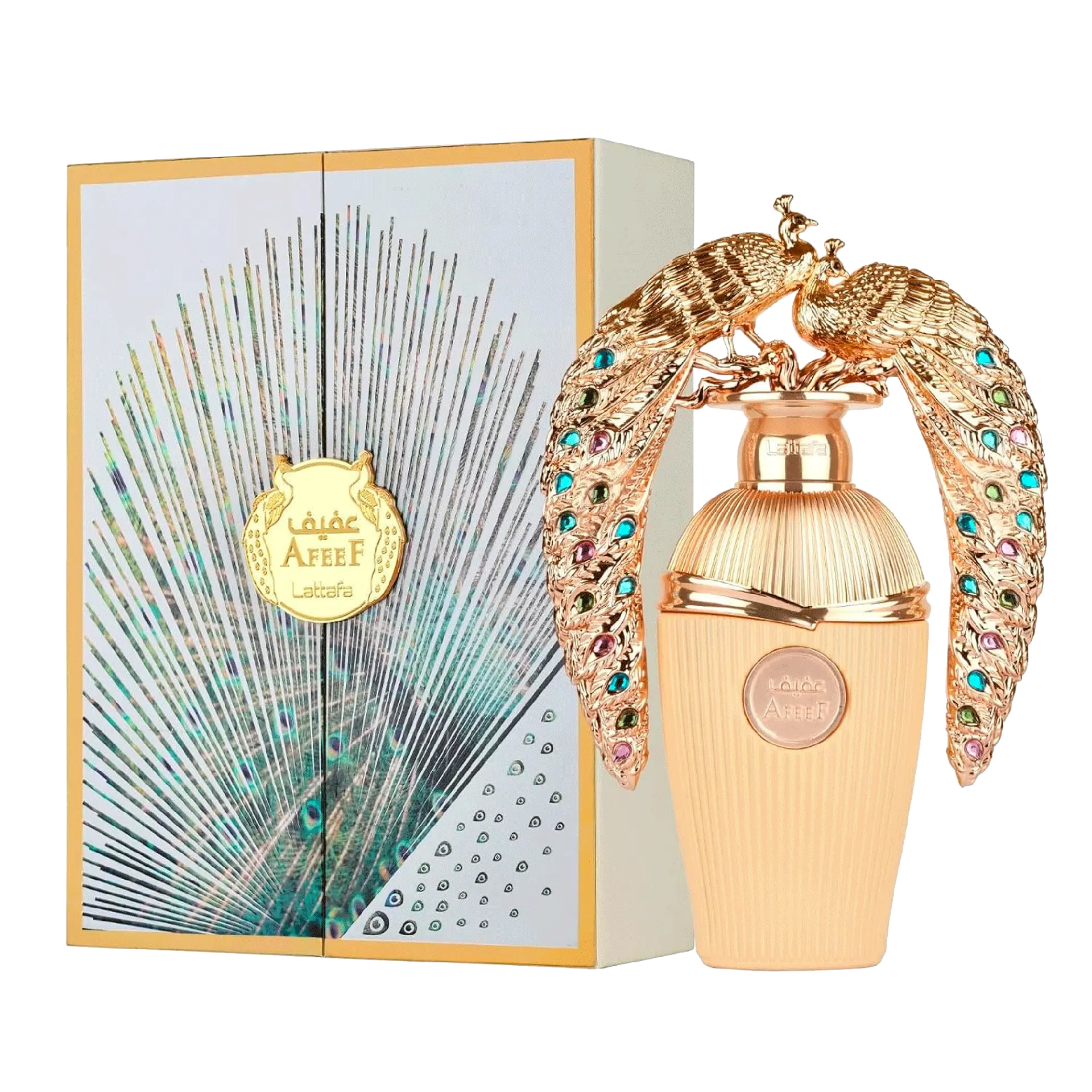 96a125f611c4c19afdf9b7e481d8176b