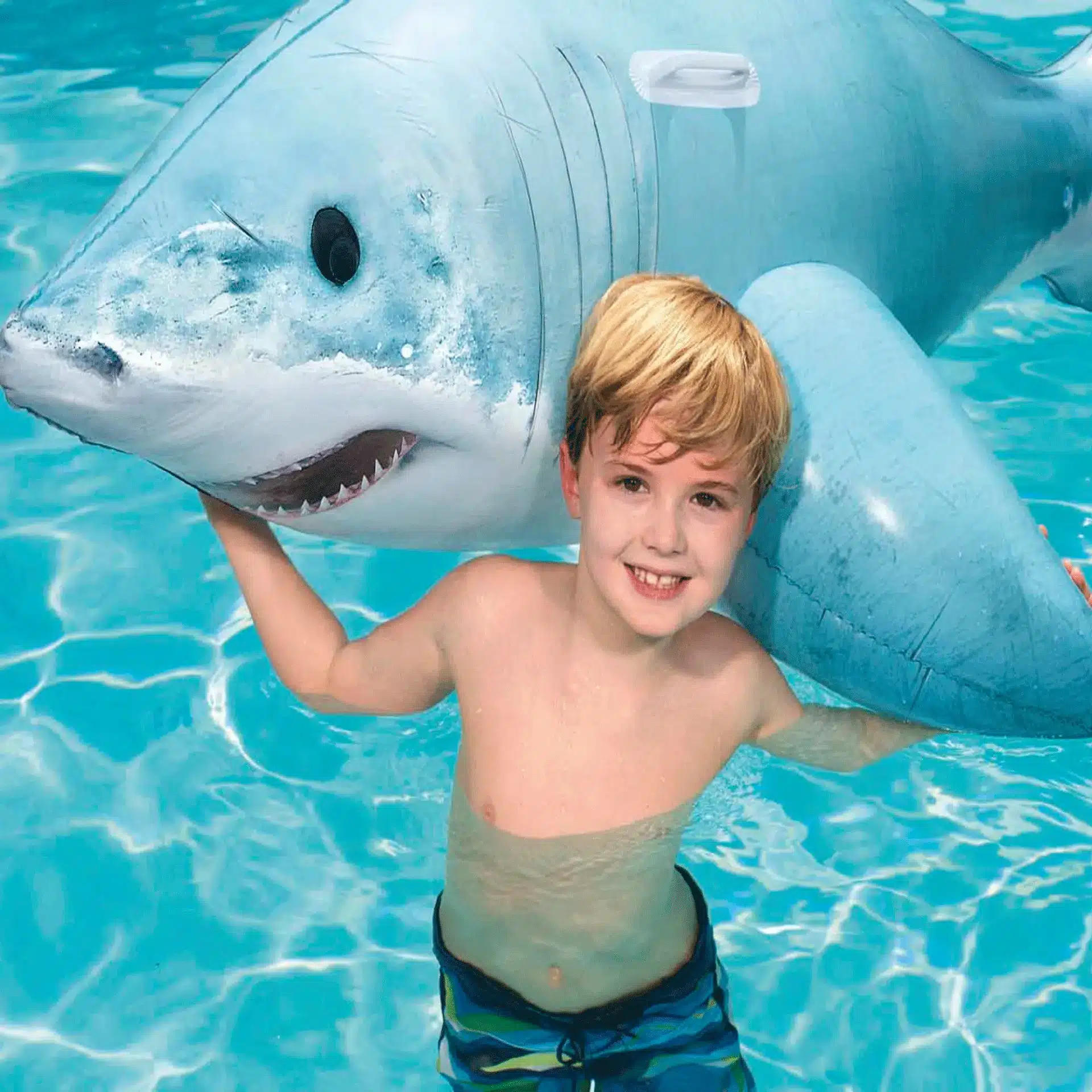 31d0c26dd7578f513b6e718660383936