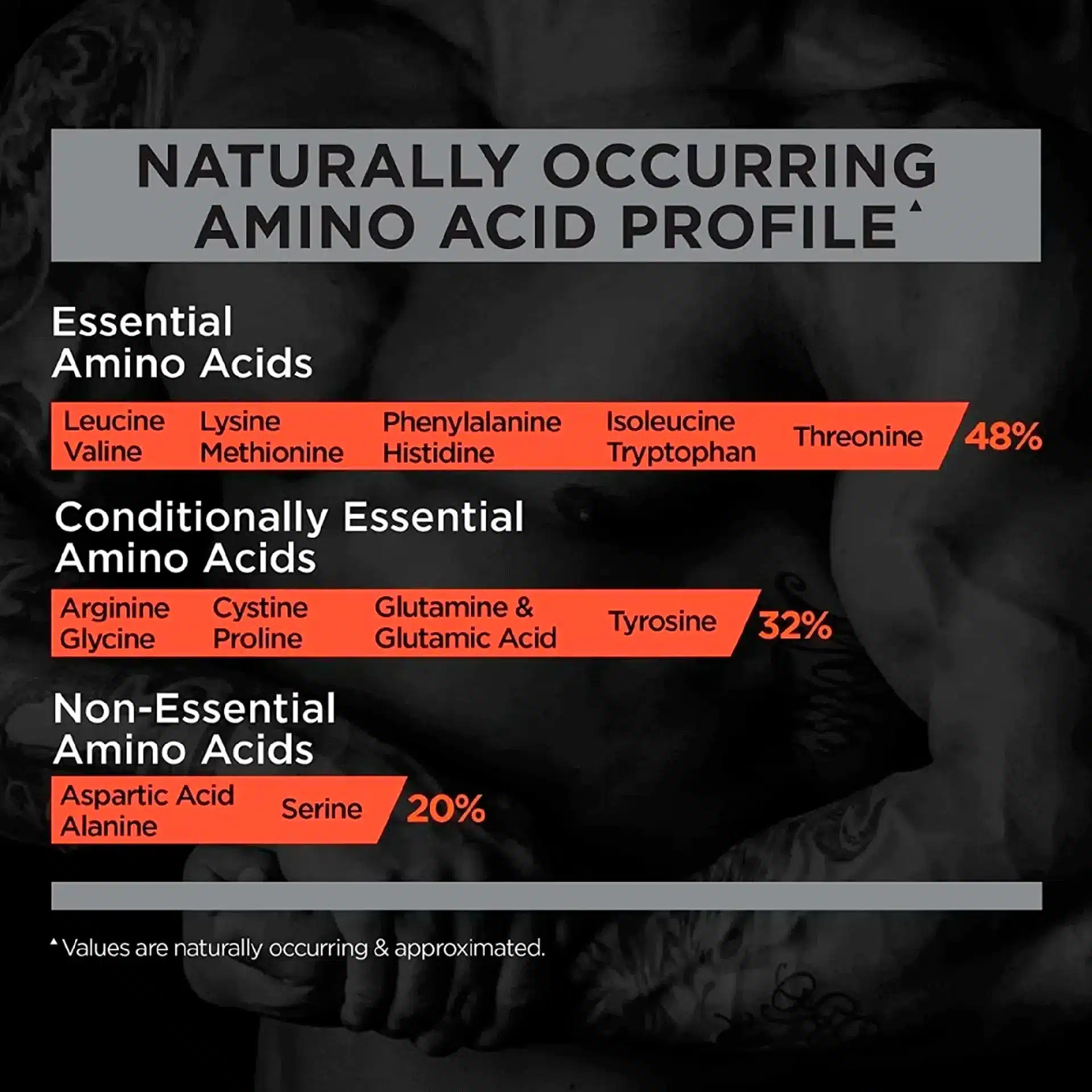 b49dd404661d544354a5a6c30f15ff38