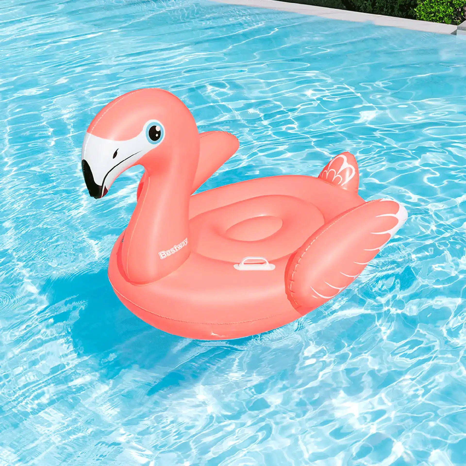 ece42ea01faf306d437de541b194c03c