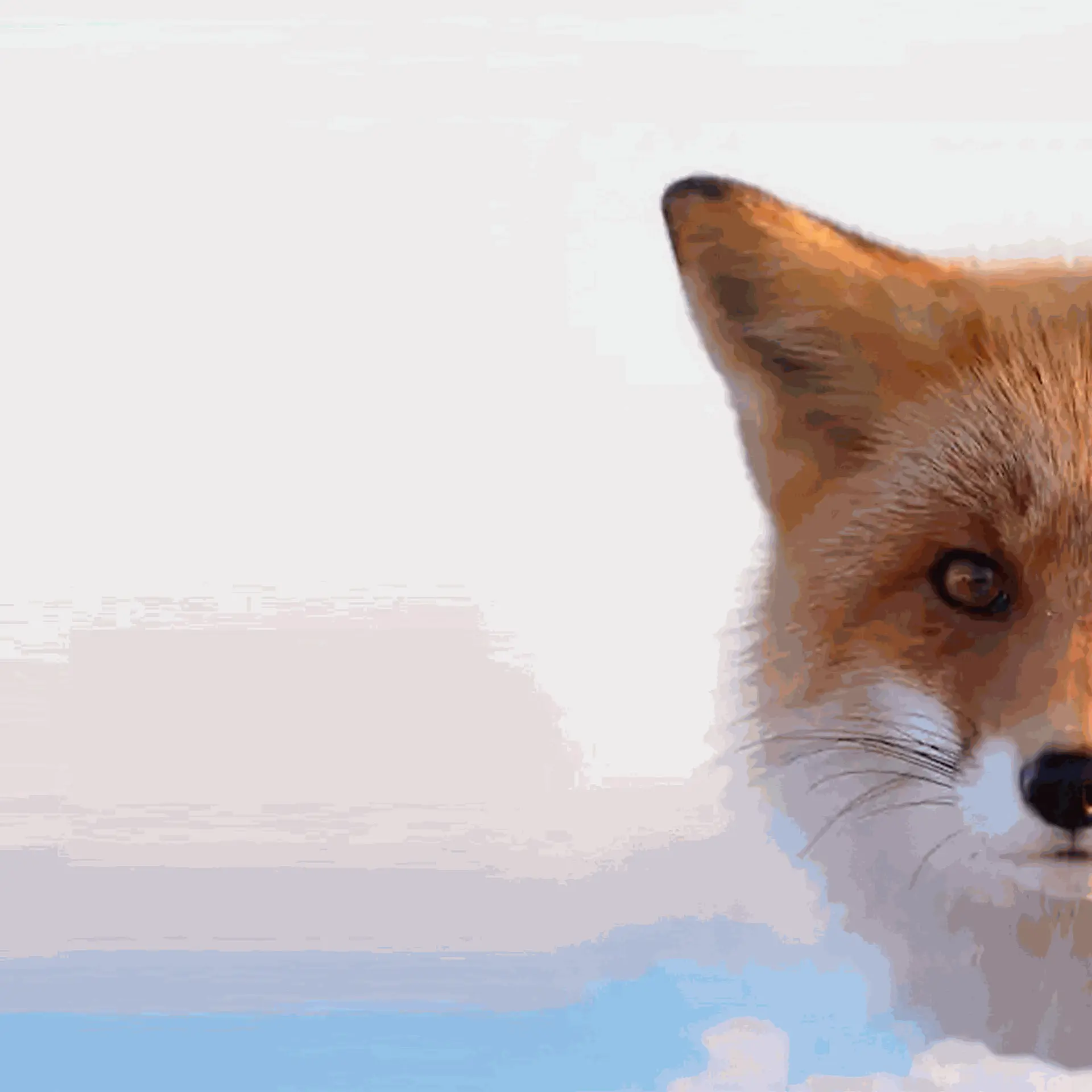 0db0f16f3fee8d1638cb3d838dab952d