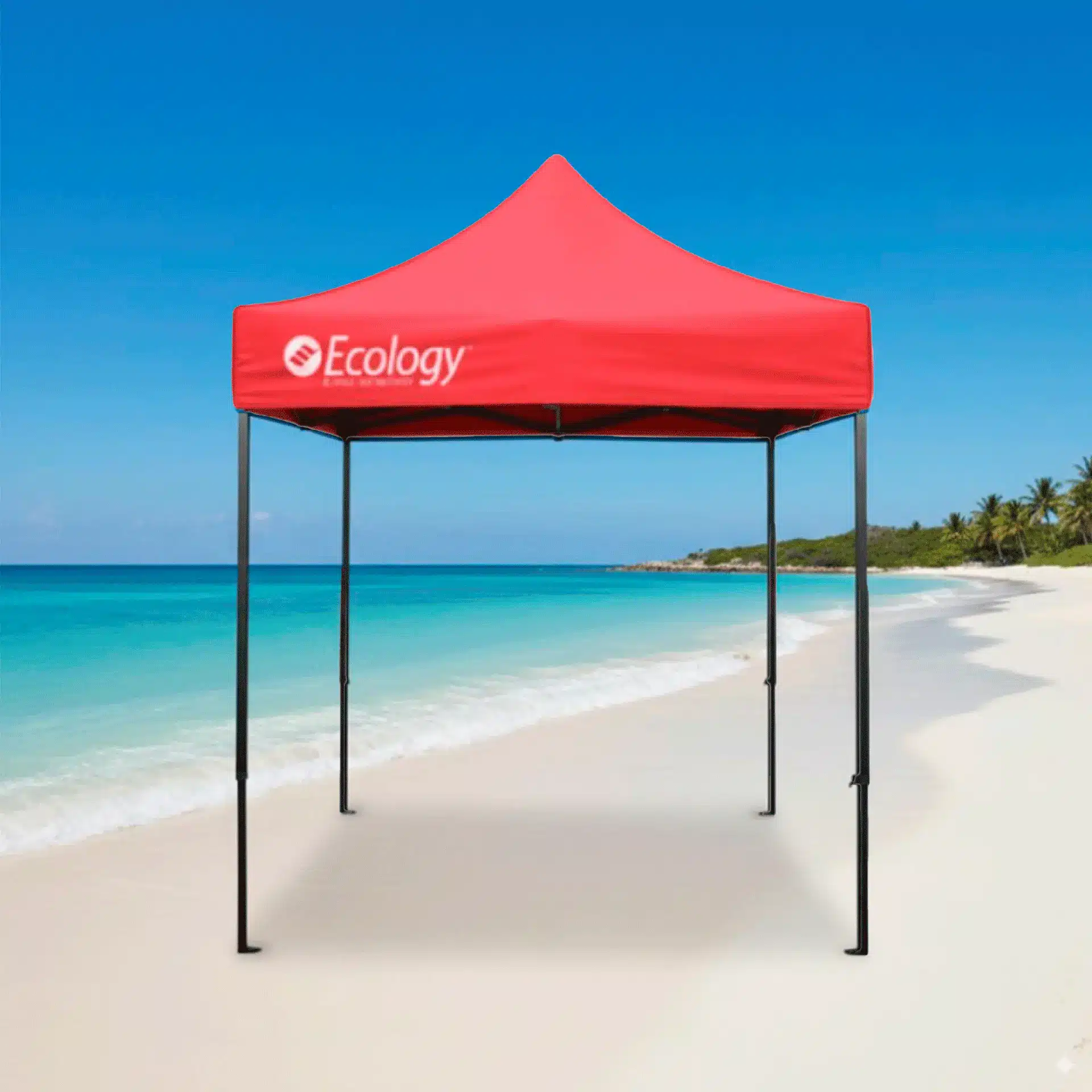 7fe3a5dcd84ed4300c0a0bab41560989