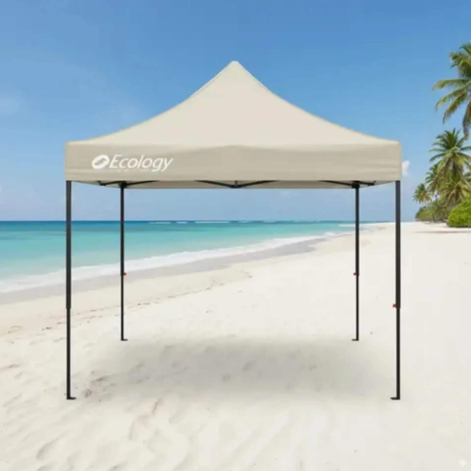 6d3ffb5678963495130ddc13d2843d24