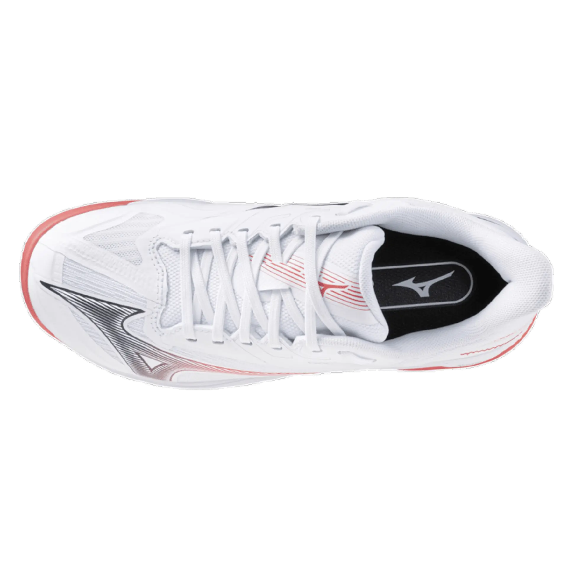 681f91df7307f2e1fb0da64c_4821b38d8031252eb0856617663f5a9e