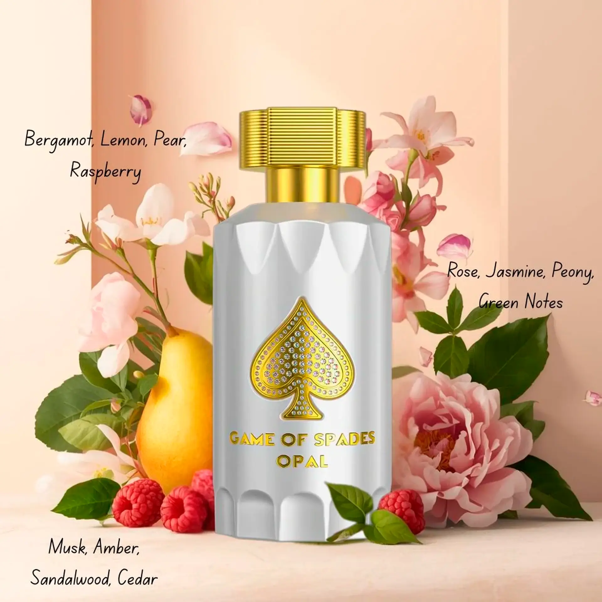 6f954da9e3d57d906c5ad91f76c5b644