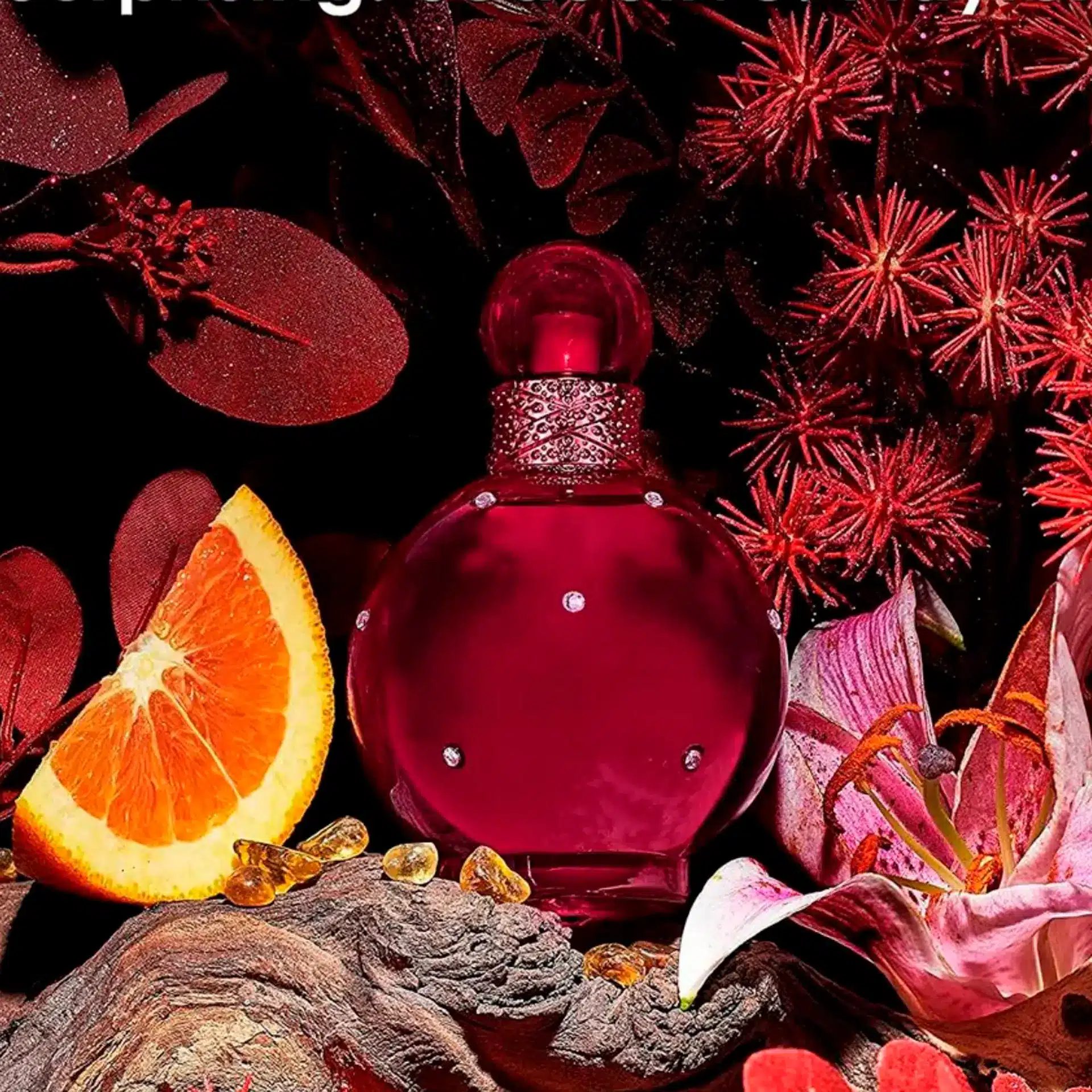 58cc12876c9c41796ddfdbe56eb96b94