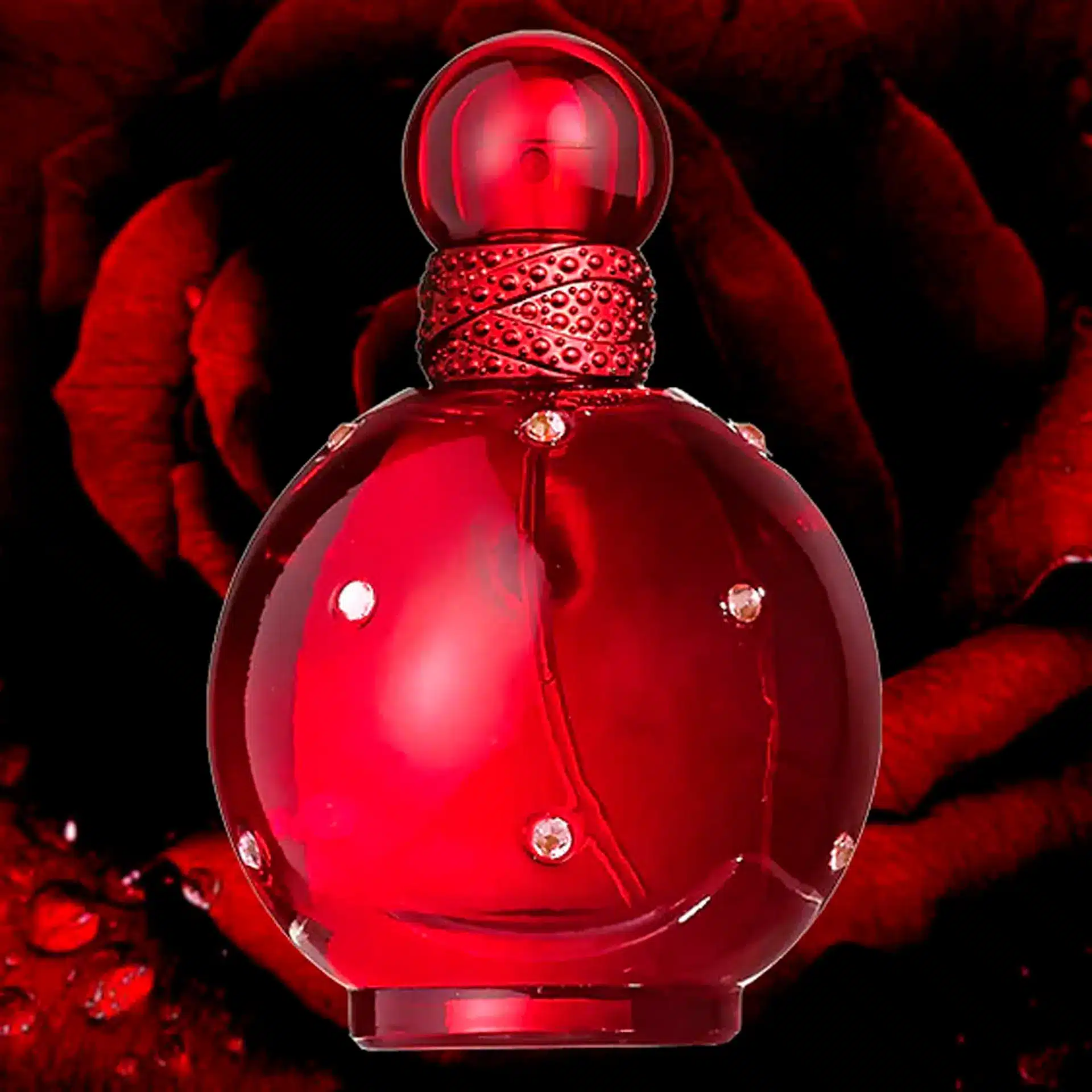 cf5bb29bd74b05791e9f08e45ce6981e