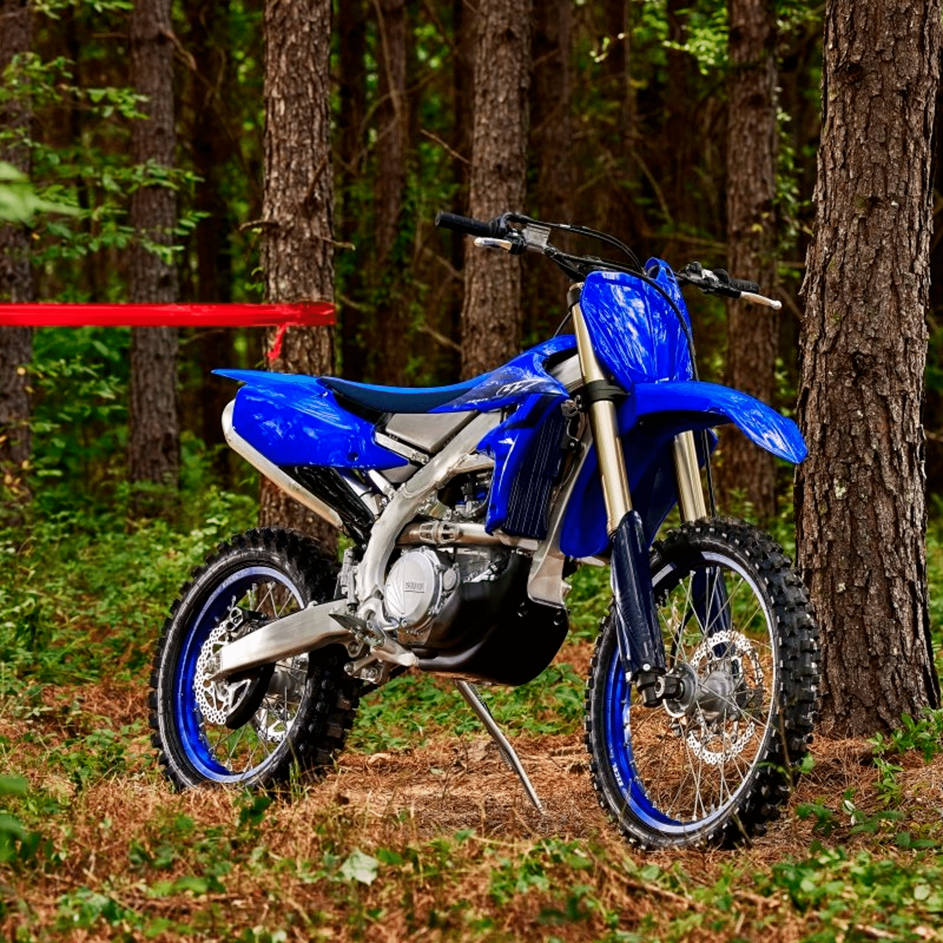 848d9dc015a72e7ed56fb1d5cd6d6c0a