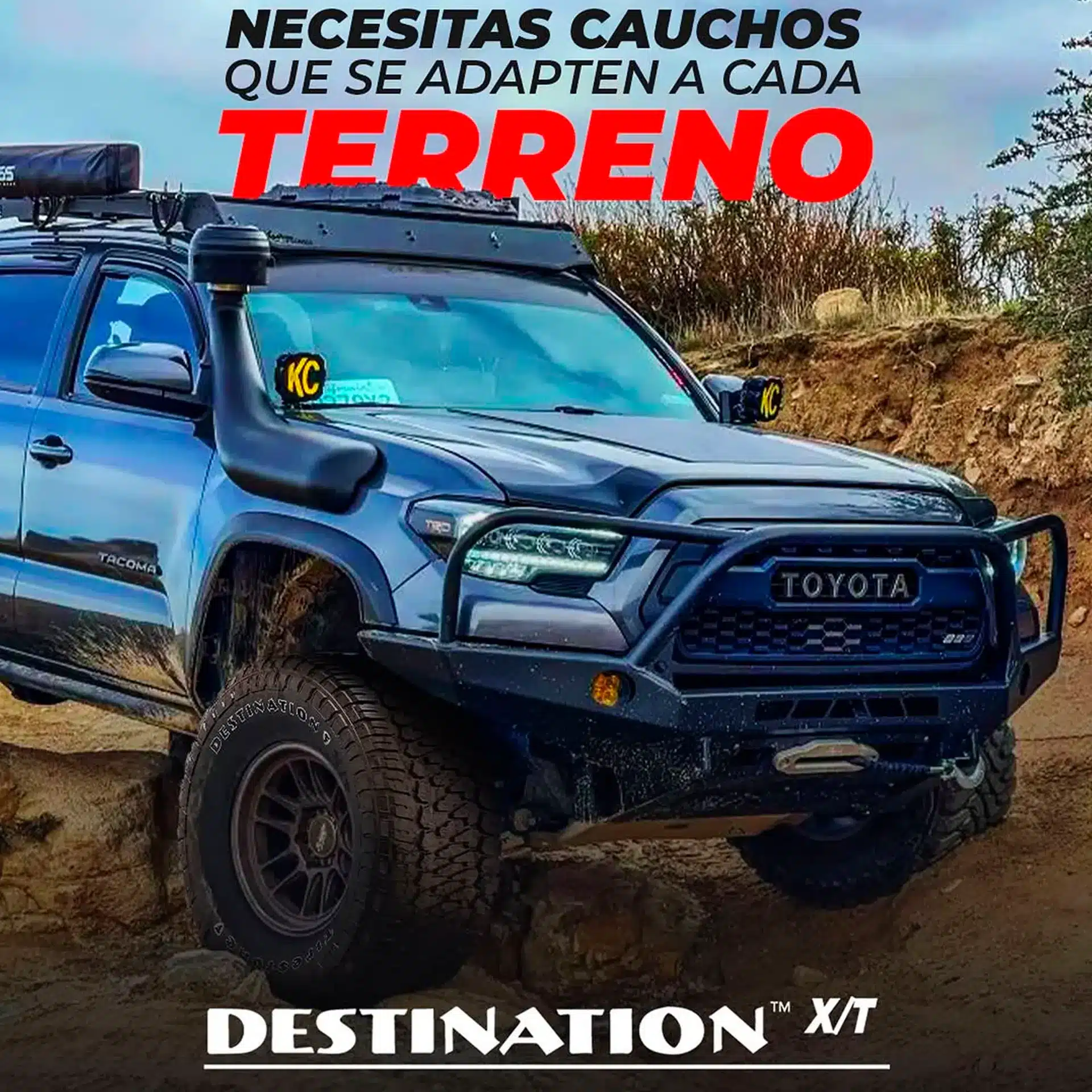 4eec9ecdd90feee121fdc02536d48747