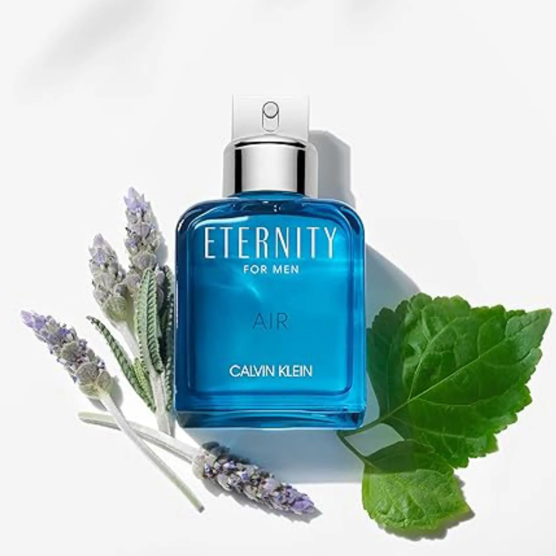 72ef0b1b6b8109240f05688d9eacefa3