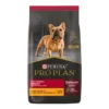 Purina