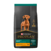 Purina