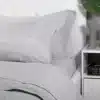 HUMO