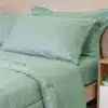 OLIVA
