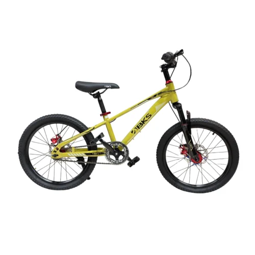 Bicicleta Rin 20 BKS Dash de Niño